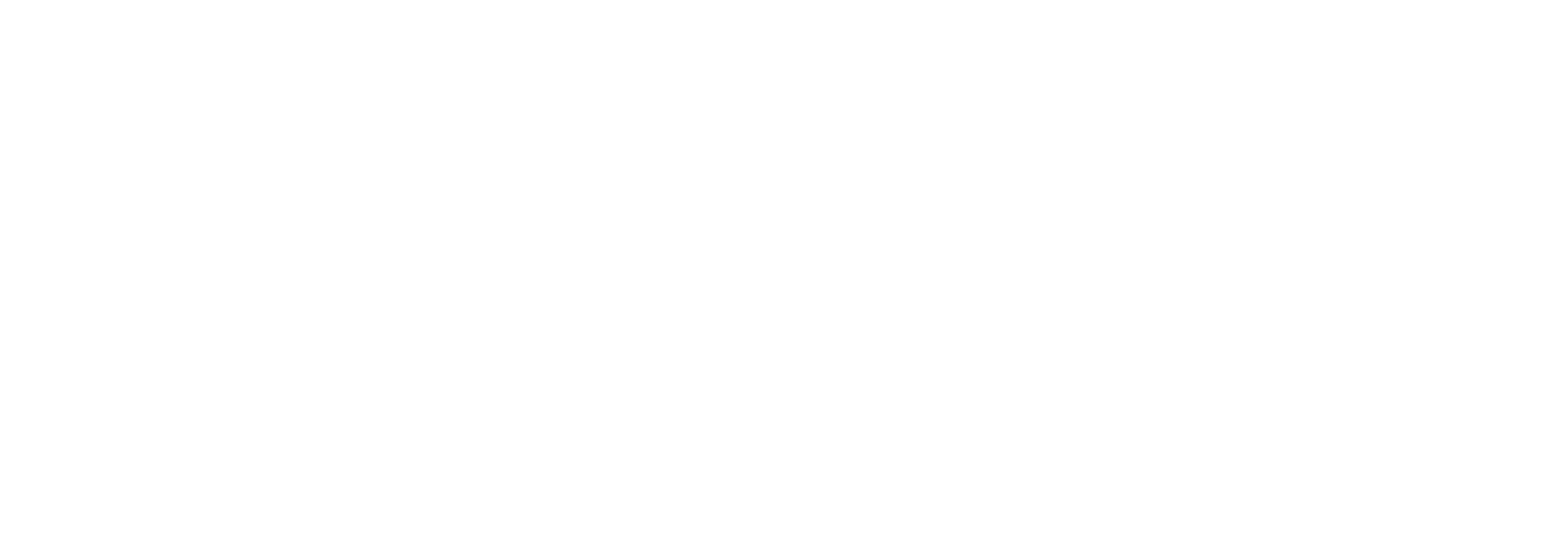 Conexión con la Existencia